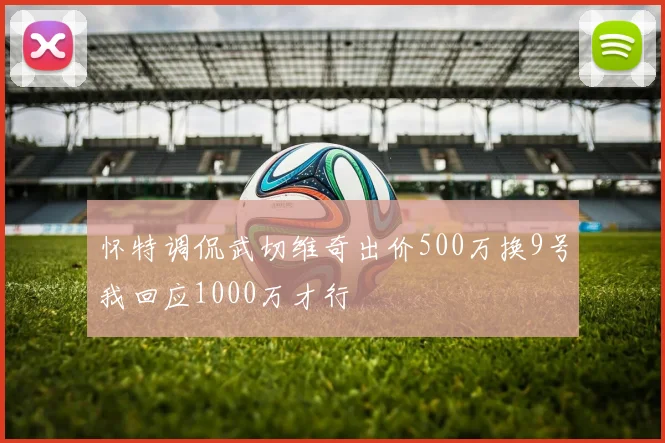 怀特调侃武切维奇出价500万换9号我回应1000万才行