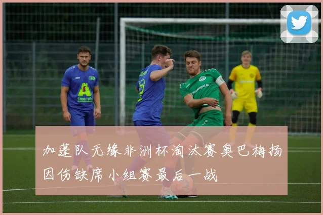加蓬队无缘非洲杯淘汰赛奥巴梅扬因伤缺席小组赛最后一战