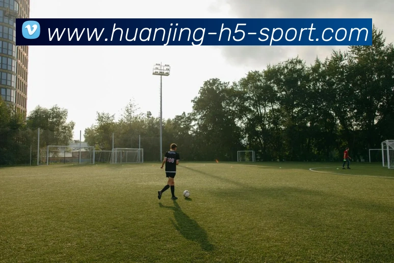 多媒体互动体验